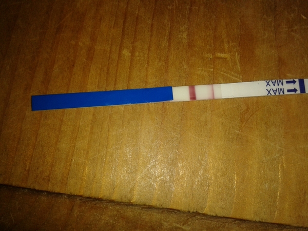 Early miscarriage?