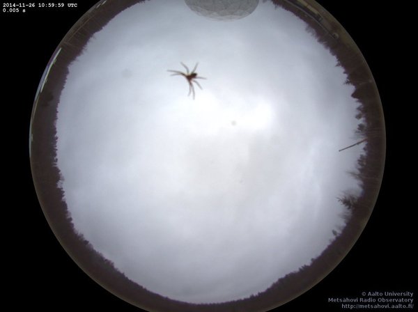 Armchair aurora watching