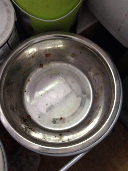 How can I help my dog? He keeps getting the last bit of his food stuck in the corners of his bowl!