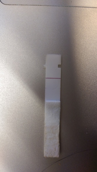 Starting IVF/ICSI this month - anyone want to join the journey?