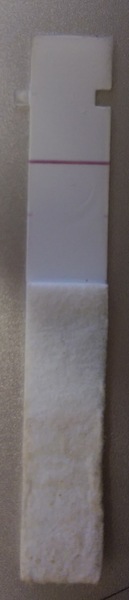 Starting IVF/ICSI this month - anyone want to join the journey?