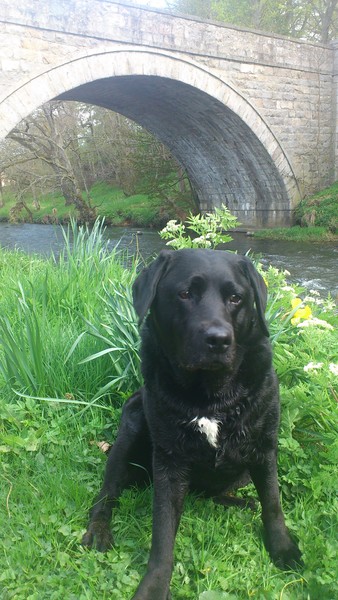 The Brave Babes Battle Bus - Kicking The Wicked Wine Witch Where It Hurts! Mwahahahahahahaha!