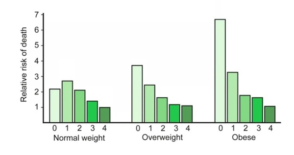 Binge Eating Disorder Support