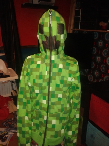 Those of you whose DCs are into Minecraft - do you have any decent related non-virtual gifts?