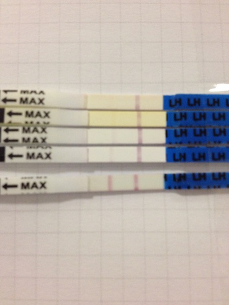 For anyone TTC or thinking about TTC with Soy Isoflavones
