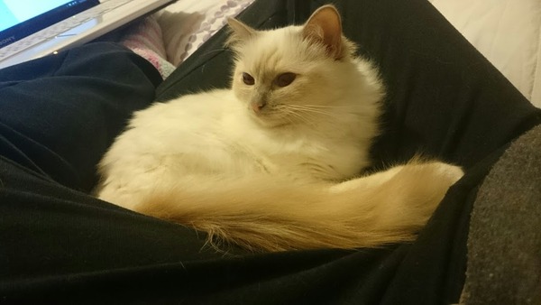 July Thread 3 - I can't KEEP CALM, I'm Pregnant! The one where the hormones start to kick in...