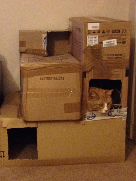 The home of sporn lovers and cunthawks; make sure the ewcm is coming from the right hole and don your capes (but don't put parsley up your chuff!) ... for JUST SHAGGING Part 33