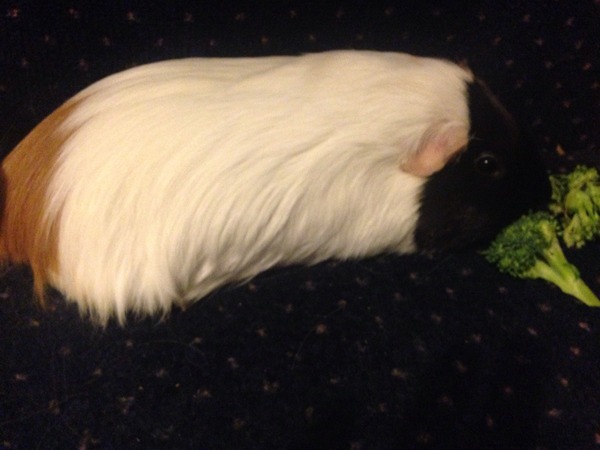 How they have grown...