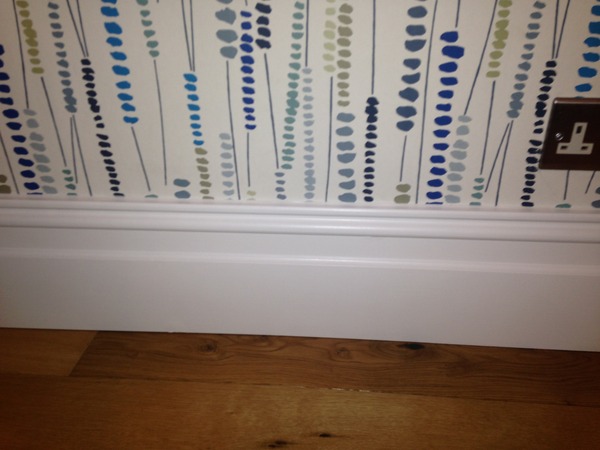 PigletJohn?  About pva under paint..