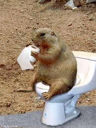 Spousification - how does this affect the child