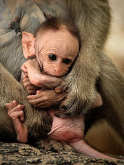 Does anyone else worry that their baby will be ahem, less than cute?