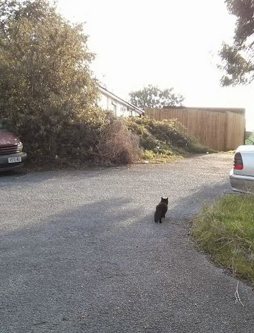 1st time outside, nearly lost :(