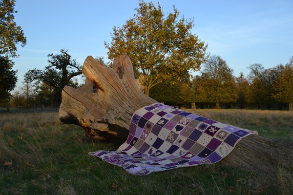 Woolly Hugs. A Blanket for gnittinggnome. Donors and crafters, we are asking for your help.