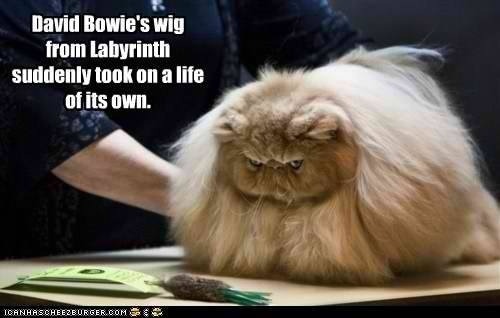 Bowie has been sullied [sad]