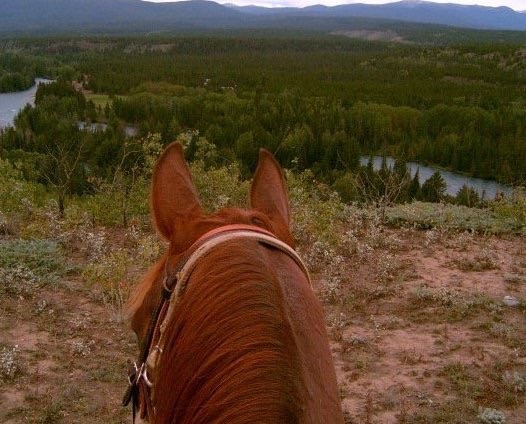 Picture from my hack today.