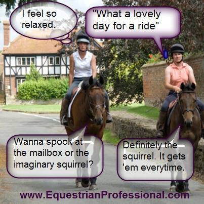 The Brave Babes Battle Bus - Kicking The Wicked Wine Witch Where It Hurts! Mwahahahahahahaha!