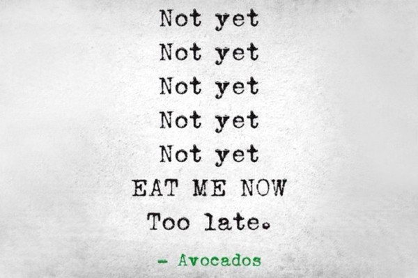 I don't want guacamole!