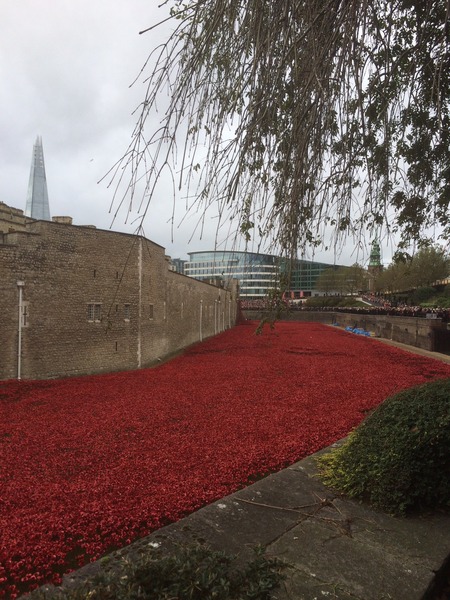 Remember, Remember, JS in November - no to bum fun, car shagging and worms. Control your stray wombles and windy boobs. Shout WANKBADGERS at the world of TTC and get your cape on for JUST SHAGGING 32!