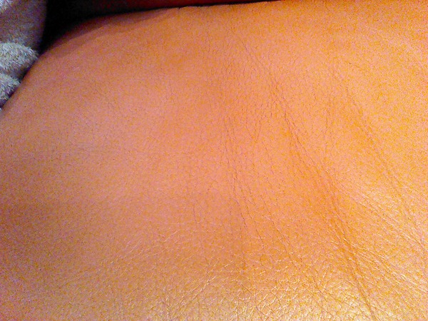 Professional leather sofa cleaning