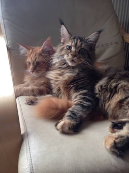 My babies are 6 months old today!