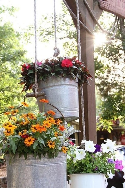 Hanging basket help