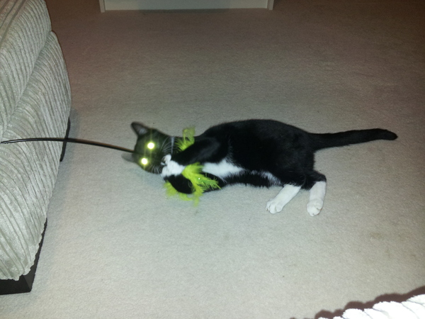 Step AWAY from the pissy sticks and get back in the bedroom, don your cape (but don't break his banjo string!) and get yourself a bun in the oven like Paul Hollywood! It's Just Shagging 31!