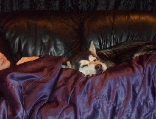 or is my dog?