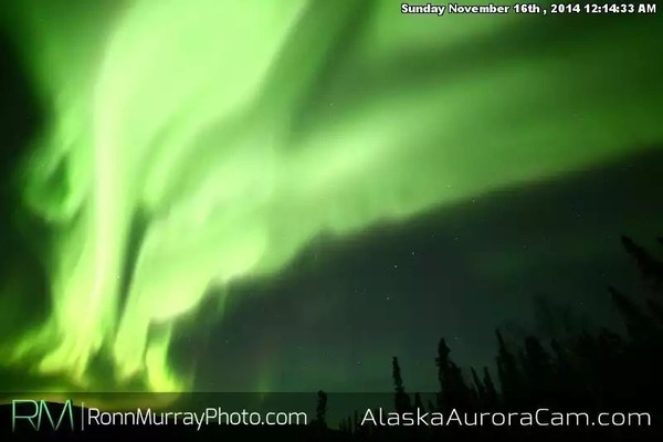 Armchair aurora watching