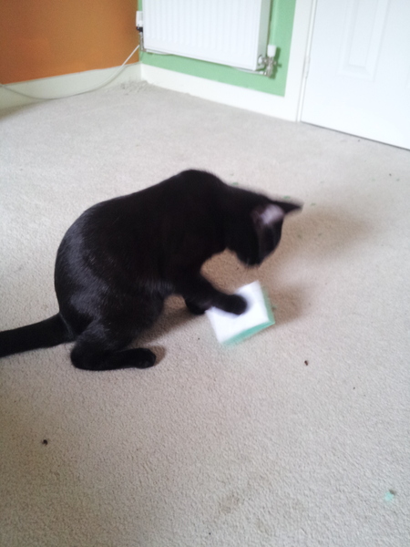 Remember, Remember, JS in November - no to bum fun, car shagging and worms. Control your stray wombles and windy boobs. Shout WANKBADGERS at the world of TTC and get your cape on for JUST SHAGGING 32!