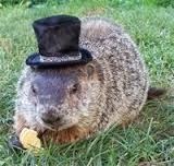 Spousification - how does this affect the child