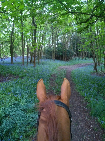 Picture from my hack today.