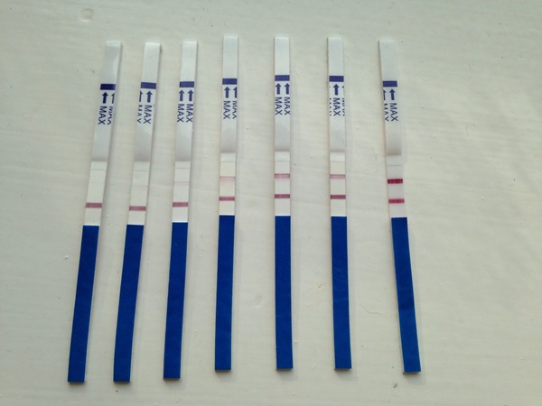 Just Shagging Grads thread 15: Join the viroids for mucus plugs and ball bouncing