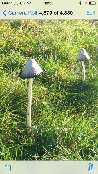 Runners thread number 7