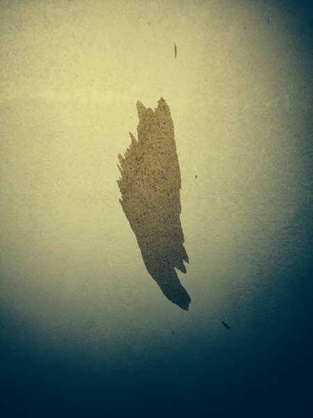 Help! Mist coat not adhering to new plaster!