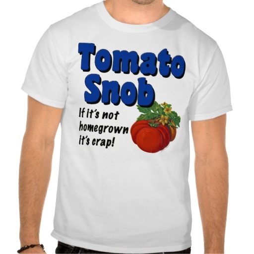 if you make a salad with tomatoes they must be vine ripened