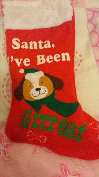 Do you buy your ddog Christmas presents?