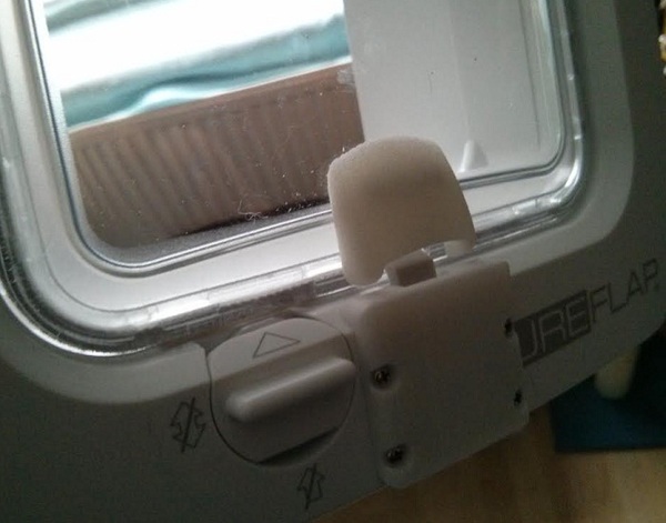 Sneaky cat flap shenanigans