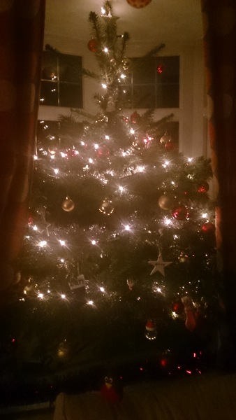 Who else is putting their Christmas Decs up tomorrow?