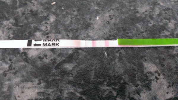 Is it possible to ovulate twice in one month?