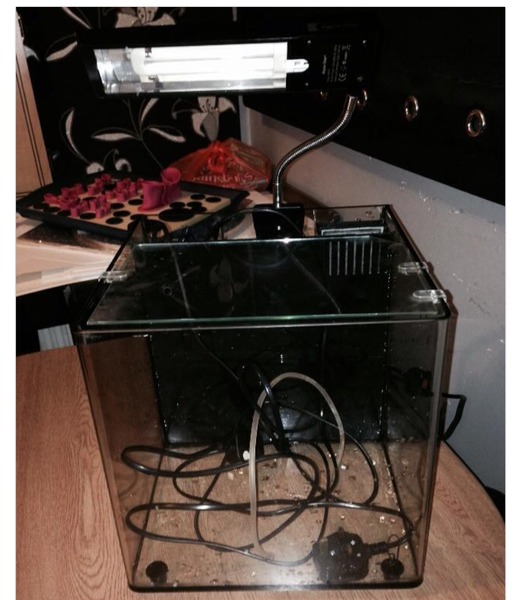 Stupid Facebook selling.