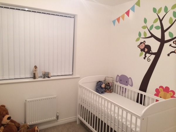 Expecting January Baby - Decorating Nursery Help!