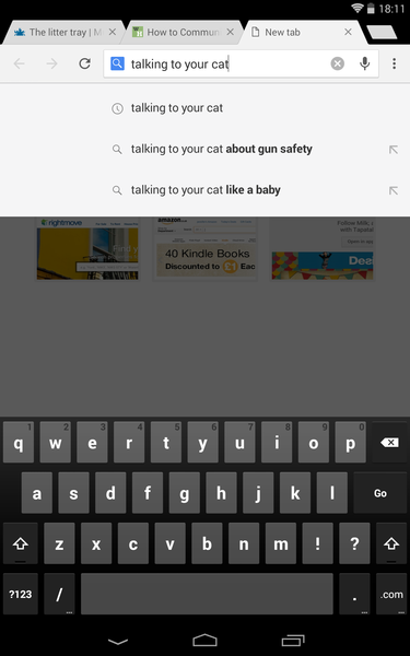 talking to your cats...