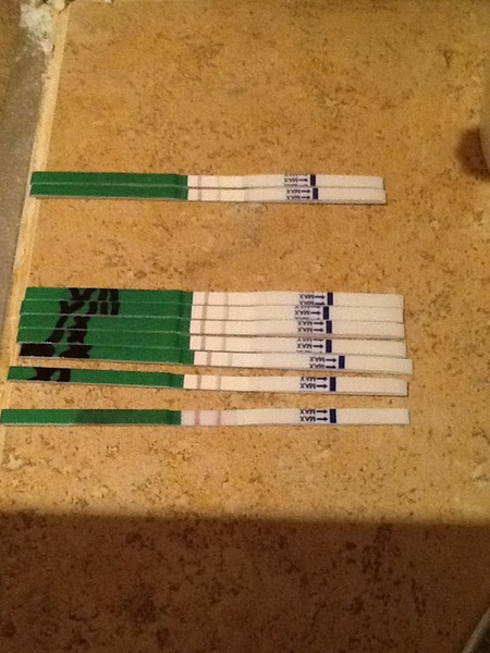 Remember, Remember, JS in November - no to bum fun, car shagging and worms. Control your stray wombles and windy boobs. Shout WANKBADGERS at the world of TTC and get your cape on for JUST SHAGGING 32!