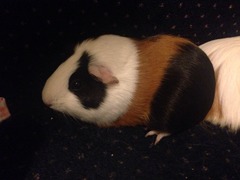 How they have grown...