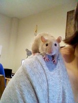 How they have grown...