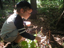 Brand New Forest School Nursery