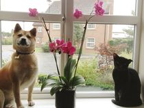 Week 6 - Pre-Christmas Low Carb Bootcamp - it's all downhill from here!