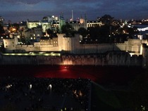Remember, Remember, JS in November - no to bum fun, car shagging and worms. Control your stray wombles and windy boobs. Shout WANKBADGERS at the world of TTC and get your cape on for JUST SHAGGING 32!