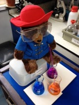Read Mumsnetters’ special Paddington Bear stories! - £250 voucher to be won for testers!NOW CLOSED