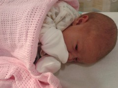 The 'Umm newbie'/ 'Thread maxed out' lovely ladies!